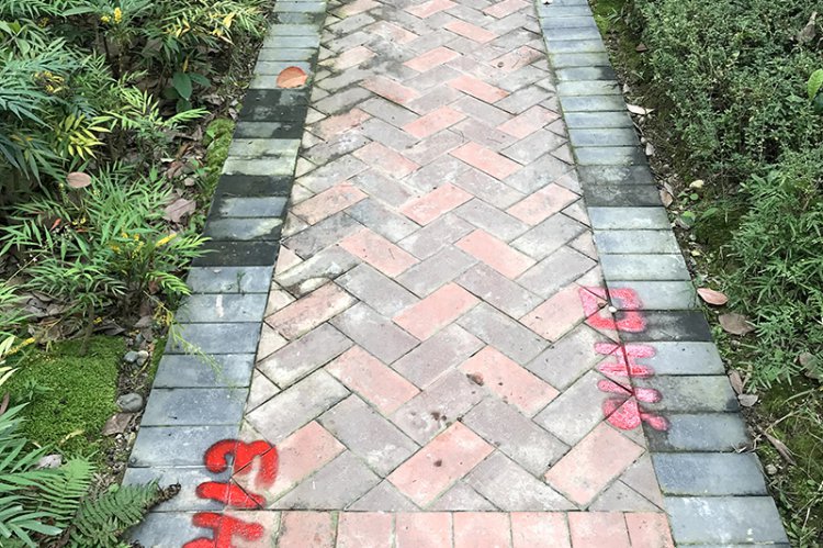 地形圖測繪