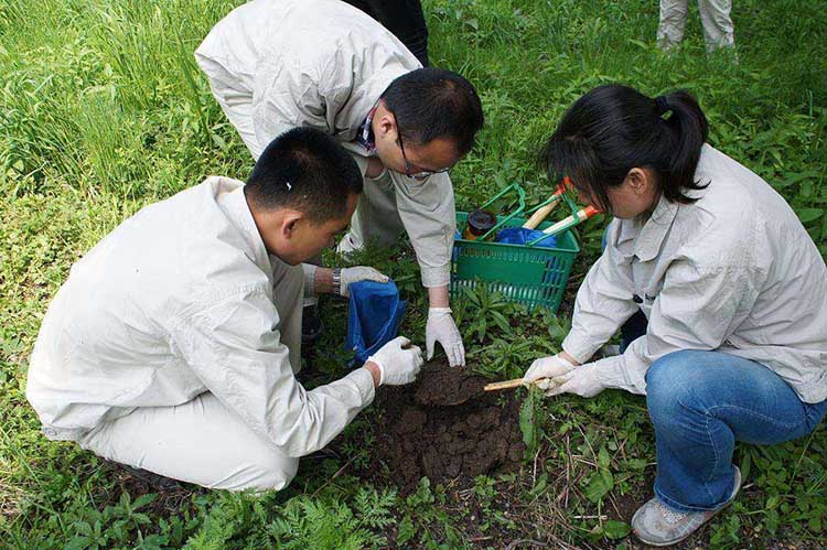 土壤檢測